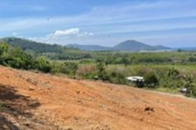 الملكية الزراعة/الحراجة Phuket  تايلاند