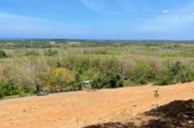 الملكية الزراعة/الحراجة Phuket  تايلاند