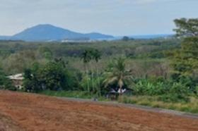 الملكية الزراعة/الحراجة Phuket  تايلاند