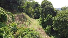 Terrain sylviculture nationale Phuket Achat Thaïlande