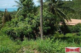 Property land/forestry Surat Thani for sale Thailand
