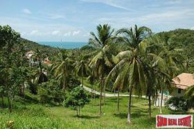 Property land/forestry Surat Thani for sale Thailand