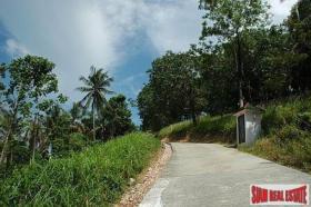 Property land/forestry Surat Thani for sale Thailand