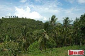 Property land/forestry Surat Thani for sale Thailand