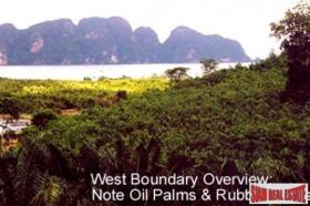 Property land/forestry for sale in Phang-nga Province, Thailand Property land/forestry for sale in Phang-nga Province, Thailand
