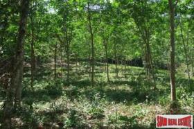 Eiendom land / skogbruk กระบี่ Thailand