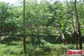 Eiendom land / skogbruk กระบี่ Thailand