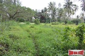 Property land/forestry for sale in Phang-nga Province, Thailand Property land/forestry for sale in Phang-nga Province, Thailand