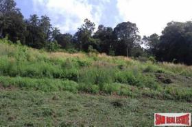 Property land/forestry Surat Thani for sale Thailand