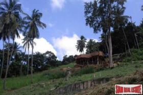 Property land/forestry Surat Thani for sale Thailand
