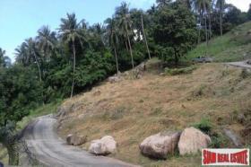 Property land/forestry Surat Thani for sale Thailand
