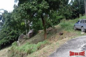 Property land/forestry Surat Thani for sale Thailand