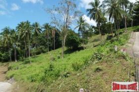 Property land/forestry Surat Thani for sale Thailand