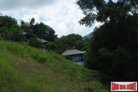 Property land/forestry Surat Thani for sale Thailand