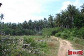 Property land / bosbouw กระบี่ Te Koop Thailand