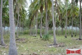Property land / bosbouw กระบี่ Te Koop Thailand