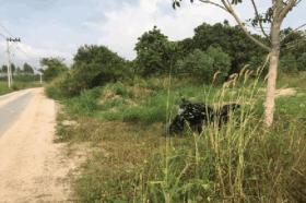 Eiendom land / skogbruk Chon Buri Thailand