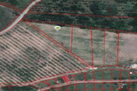 Eiendom land / skogbruk Chon Buri Thailand