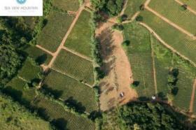 Villa ประจวบคีรีขันธ์ zu kaufen Thailand