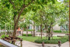 Leilighet ประจวบคีรีขันธ์  Thailand