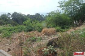 Property land/forestry Surat Thani for sale Thailand