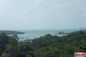 Property land/forestry Surat Thani for sale Thailand
