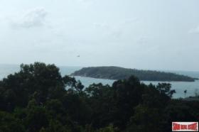 Property land/forestry Surat Thani for sale Thailand