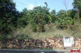 Property land/forestry Surat Thani for sale Thailand