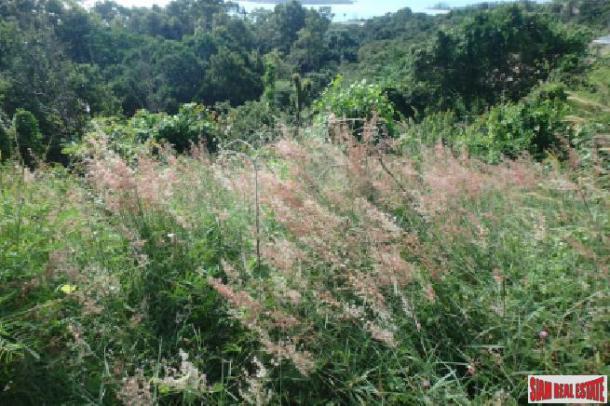 Property land/forestry Surat Thani for sale Thailand