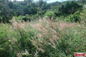 Property land/forestry Surat Thani for sale Thailand