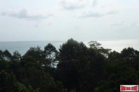 Property land/forestry Surat Thani for sale Thailand