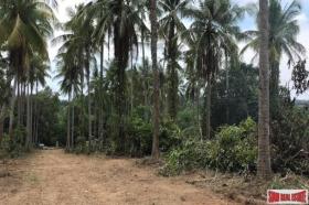 Property land/forestry for sale in Phang-nga Province, Thailand Property land/forestry for sale in Phang-nga Province, Thailand