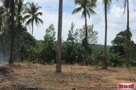 Proprietà terreni / forestale Phang-nga Province In vendita Tailandia Proprietà terreni / forestale Phang-nga Province In vendita Tailandia