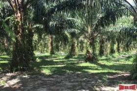 Property land/forestry for sale in Phang-nga Province, Thailand Property land/forestry for sale in Phang-nga Province, Thailand