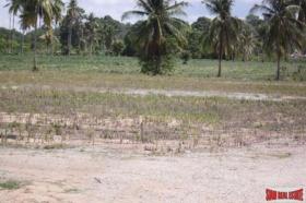 Terrain sylviculture nationale Chonburi Achat Thaïlande