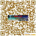 Apartment Phuket for sale Thailand | QR-CODE ...