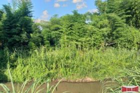 Propriedade da terra / florestal à venda em Chiang Mai, Tailândia