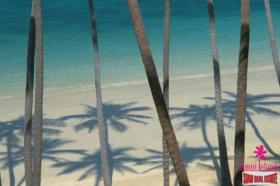 Villa Surat Thani  Thailand