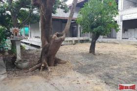 Property land / bosbouw te koop in Bangkok-Khlong Toei District, Thailand Property land / bosbouw te koop in Bangkok-Khlong Toei District, Thailand