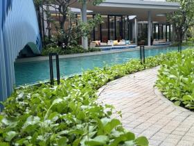 Plat Phuket Te Koop Thailand