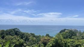 Property land/forestry for sale in Phuket, Thailand Property land/forestry for sale in Phuket, Thailand