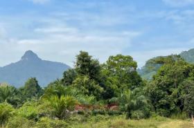 Terrain sylviculture nationale กระบี่ Achat Thaïlande