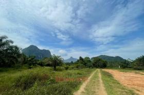 Terrain sylviculture nationale กระบี่ Achat Thaïlande