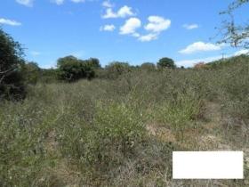 Собственность земли / лесной для продажи в ประจวบคีรีขันธ์, Таиланд