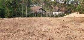 Proprietà terreni / forestale Phuket Vendita Tailandia