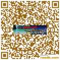 مسطحة ประจวบคีรีขันธ์  تايلاند | QR-CODE ...