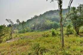 Grundstück Land-/Forstwirtschaft Zu verkaufen in ประจวบคีรีขันธ์, Thailand