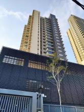 扁平 圣保罗  巴西