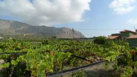 Villa Orba for sale Spain