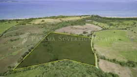 Eiendom land / skogbruk Pedasi  Panama
